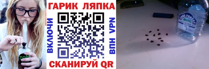 ГАШ гарик  Заволжье 