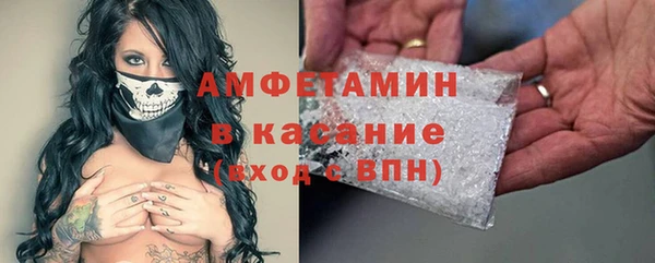 ГАЛЛЮЦИНОГЕННЫЕ ГРИБЫ Дмитриев