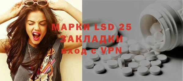 ГАЛЛЮЦИНОГЕННЫЕ ГРИБЫ Дмитриев