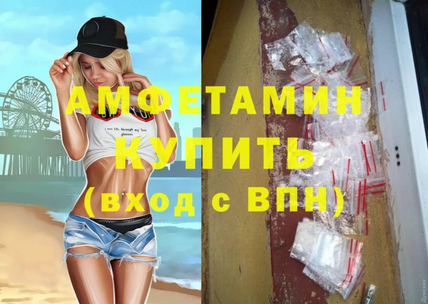 ГАЛЛЮЦИНОГЕННЫЕ ГРИБЫ Дмитриев