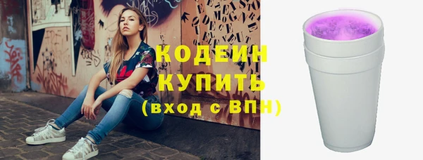 ГАЛЛЮЦИНОГЕННЫЕ ГРИБЫ Дмитриев