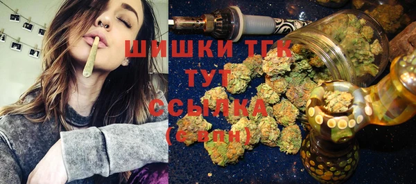 ГАЛЛЮЦИНОГЕННЫЕ ГРИБЫ Дмитриев
