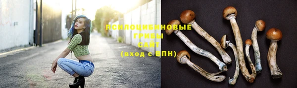 ГАЛЛЮЦИНОГЕННЫЕ ГРИБЫ Дмитриев