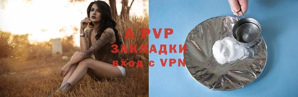 ГАЛЛЮЦИНОГЕННЫЕ ГРИБЫ Дмитриев