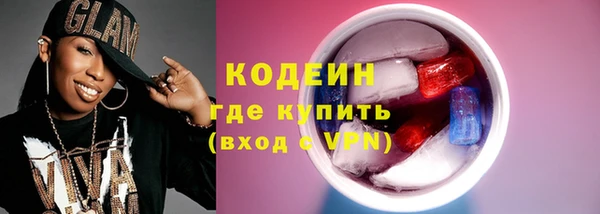 ГАЛЛЮЦИНОГЕННЫЕ ГРИБЫ Дмитриев