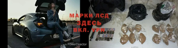 ГАЛЛЮЦИНОГЕННЫЕ ГРИБЫ Дмитриев