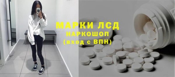 ГАЛЛЮЦИНОГЕННЫЕ ГРИБЫ Дмитриев
