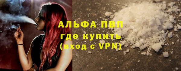 ГАЛЛЮЦИНОГЕННЫЕ ГРИБЫ Дмитриев
