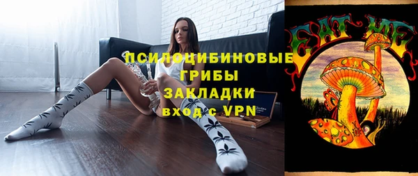ГАЛЛЮЦИНОГЕННЫЕ ГРИБЫ Дмитриев