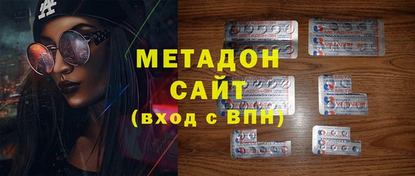 ГАЛЛЮЦИНОГЕННЫЕ ГРИБЫ Дмитриев