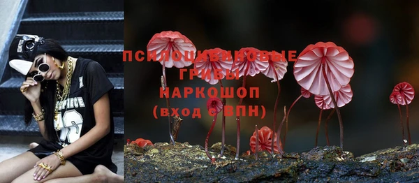 синтетический гашиш Дмитровск