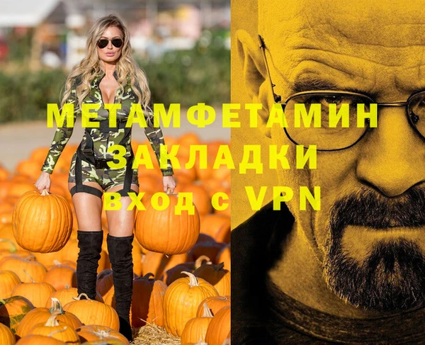 ГАЛЛЮЦИНОГЕННЫЕ ГРИБЫ Дмитриев