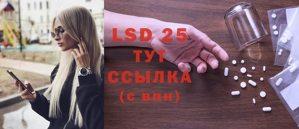 ГАЛЛЮЦИНОГЕННЫЕ ГРИБЫ Дмитриев