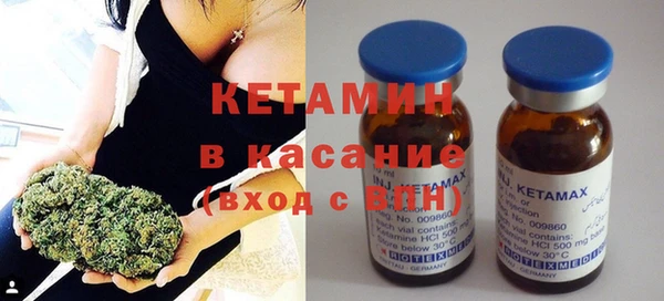 ГАЛЛЮЦИНОГЕННЫЕ ГРИБЫ Дмитриев